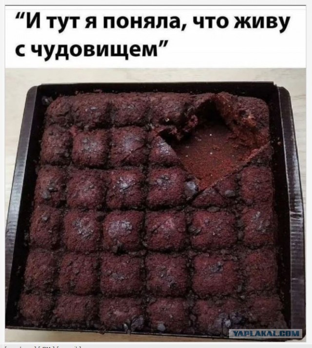 Веселые картинки в понедельник (02.06)