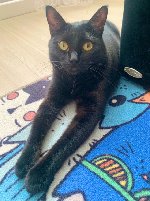 Минус один бродяга