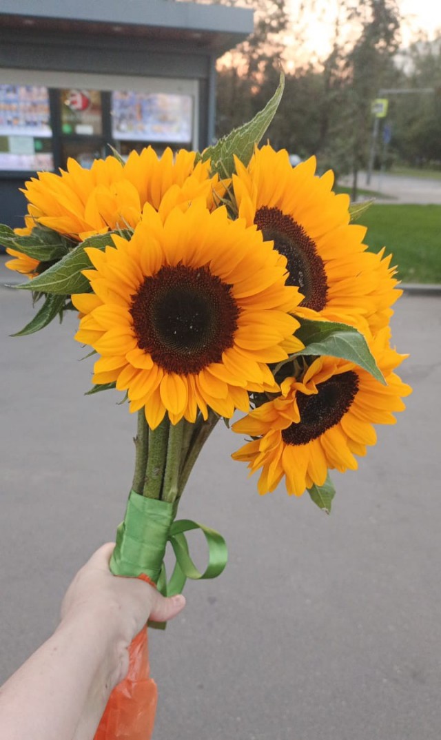 Первое сентября!