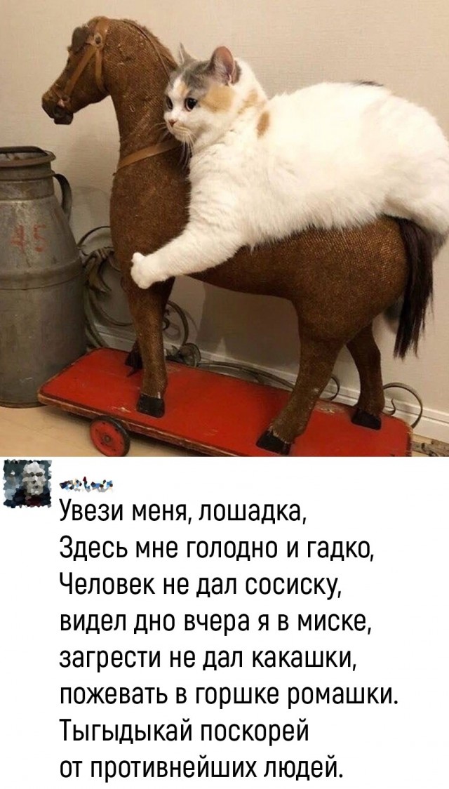 Воскресные картинки