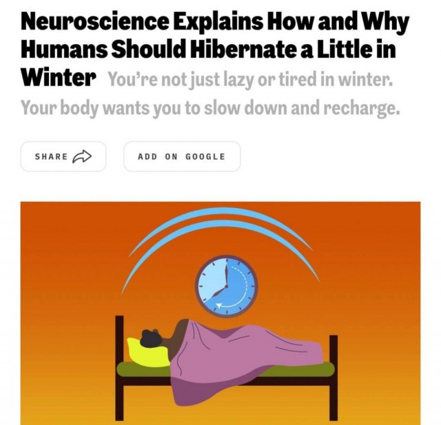 Люди должны впадать в спячку зимой — нейробиологи