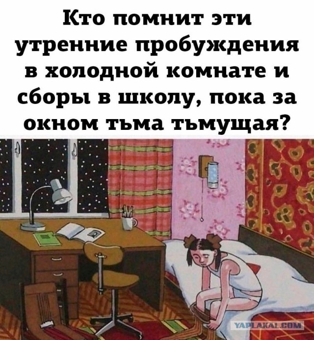 Куча мала 15, последняя