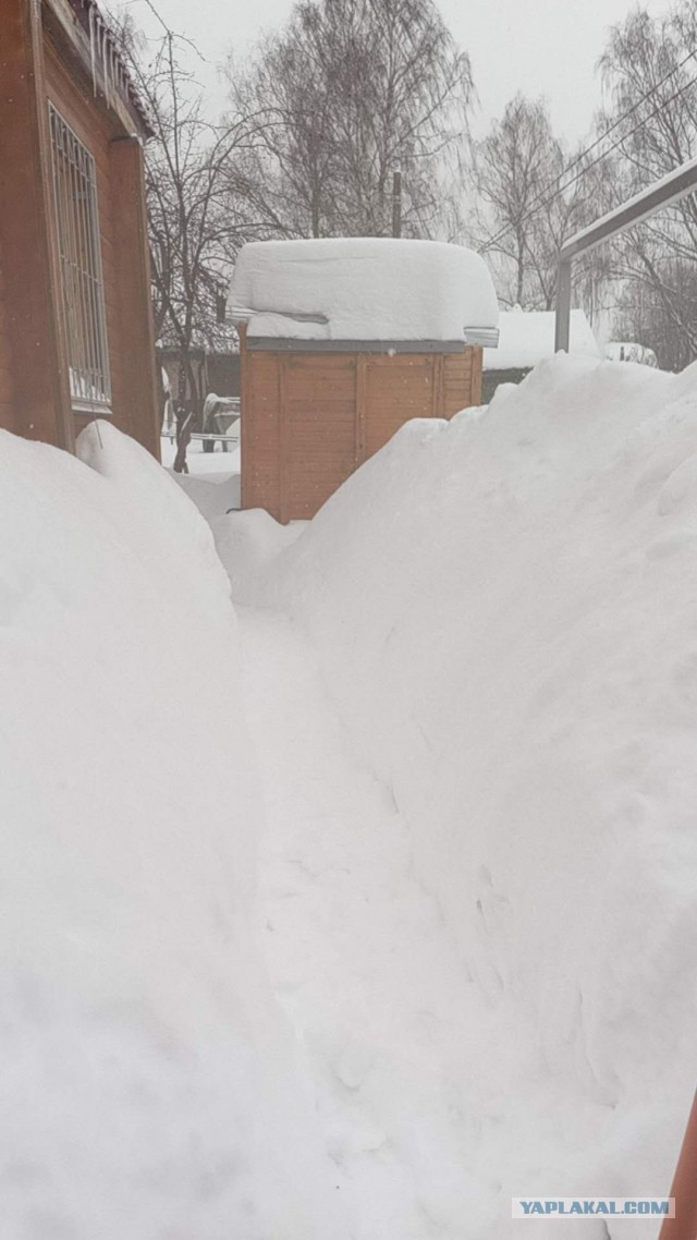 Плюсы загородного дома⁠