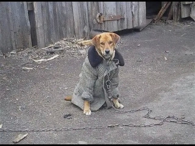 Сохраняйте себе