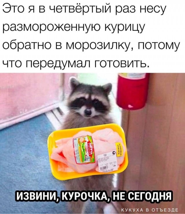 Воскресные картинки