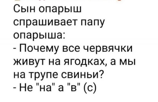 На Поклонскую завели дело на Украине