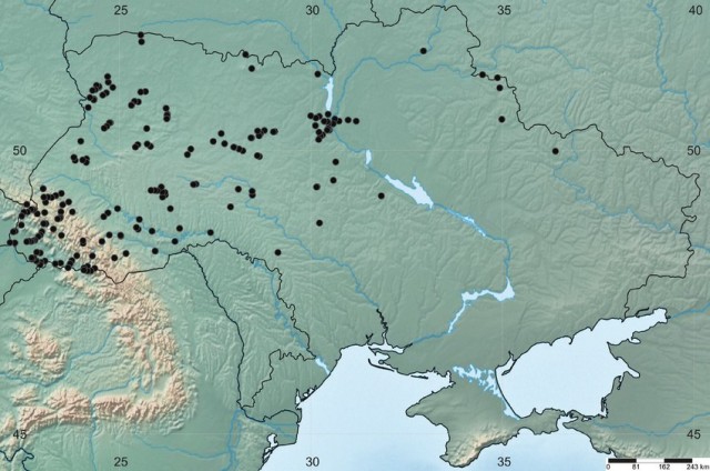 Главное в лесу им не подтереться