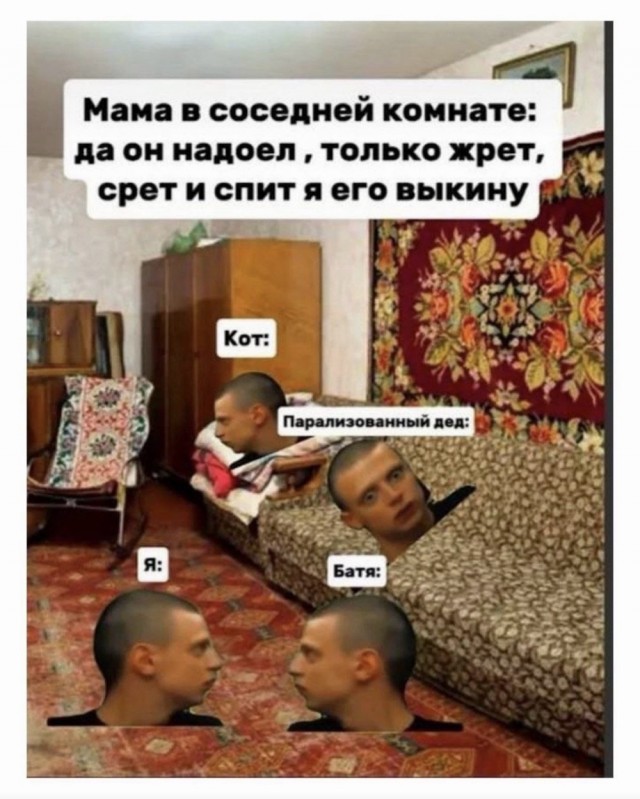 Картинки для деградации 239 (разной степени свежести)