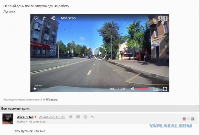 Моё утро.