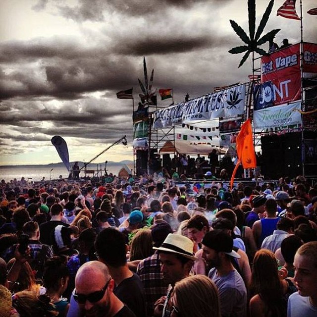 Сиэтл Hempfest 2013