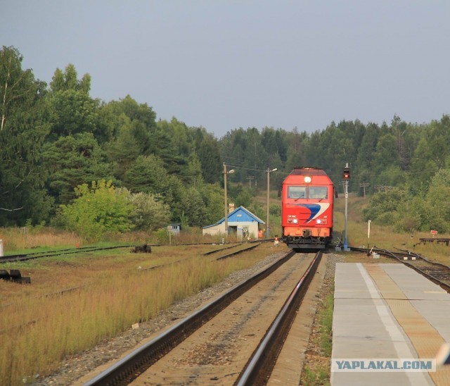 Фотоотчёт. Ивановская область.