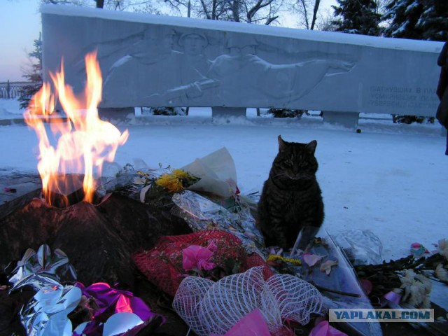 Братья.. давайте зажжем очаг! Погреемся