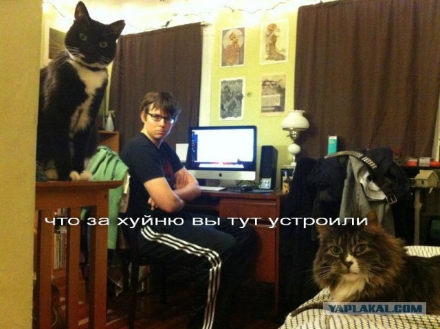 FIST OF JESUS - Help us to make a feature