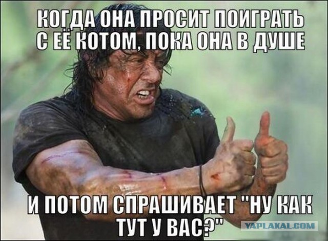 Весёлые картинки