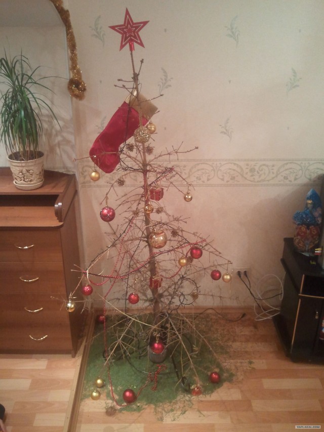 Праздники кончились.