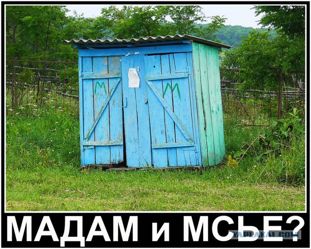 Как выглядит туалеты в разных частях мира