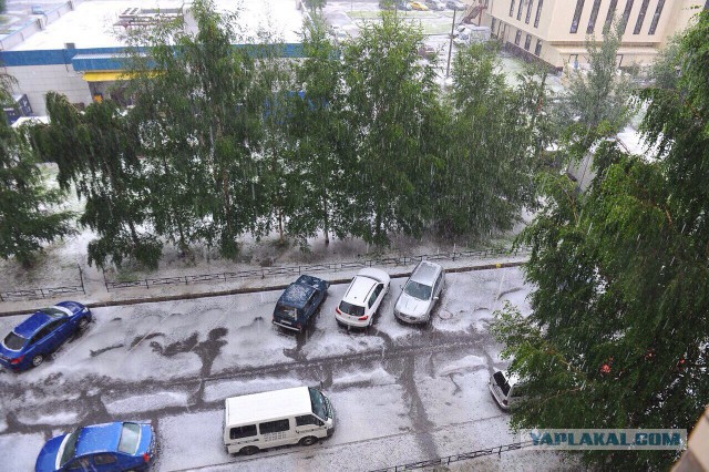 Жители Санкт-Петербурга открыли купальный сезон