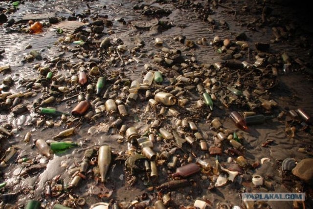 Ступеньки в ад. Обычная городская пятиэтажка