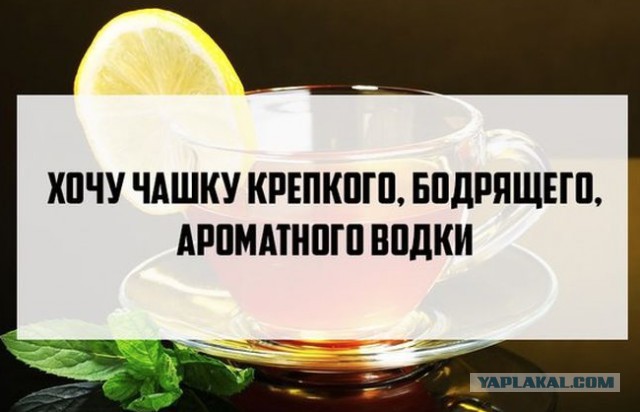 Подборка смешных и забавных фото