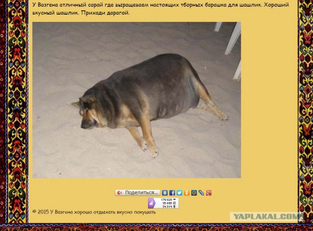 У Вазгена хорошо отдыхать вкусно покушать