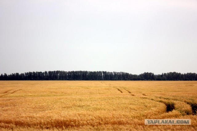 Сельскохозяйственный эксперимент ч. 4