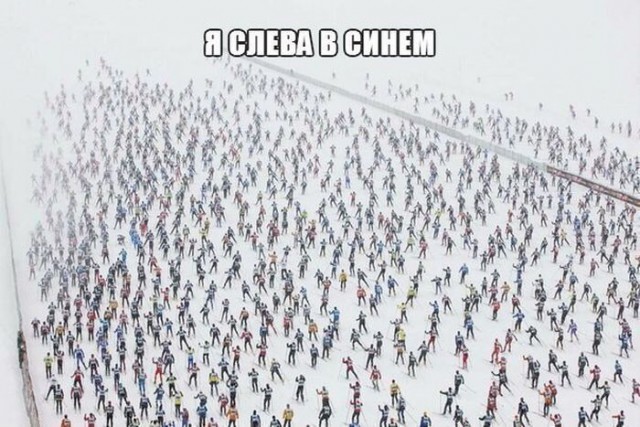 Подборка веселых картинок на выходные