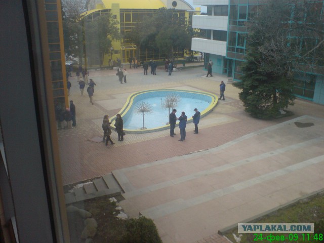 Артек, "ужасы" российской действительности