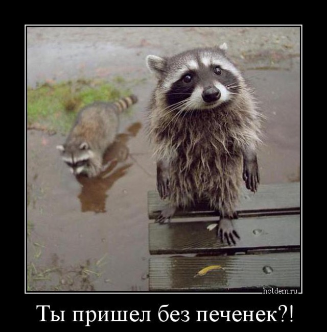 Демы без Темы