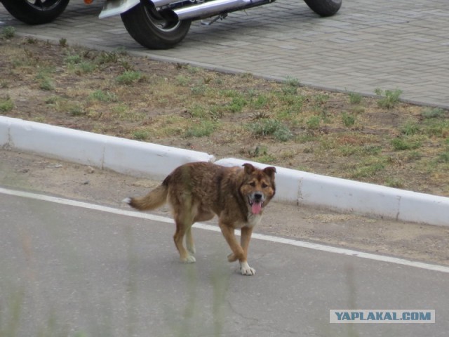 Град Свияжск