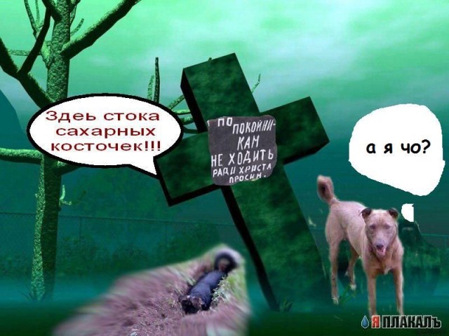 Фотожаба: да здесь где-то недалеко!