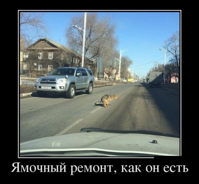 Всякие разные картинки из интернета