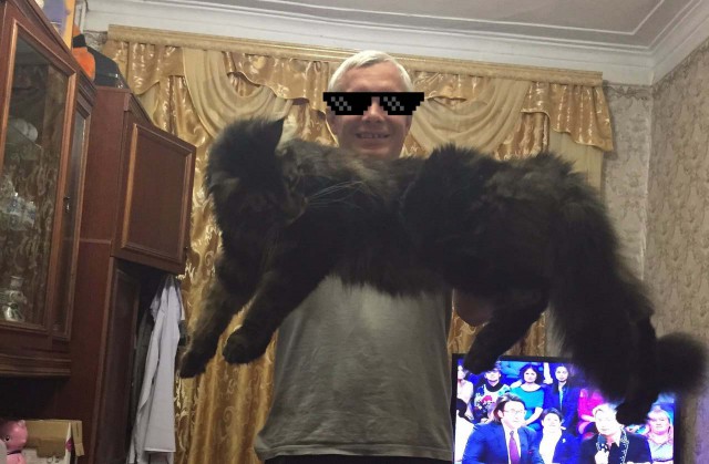 Котёнку 1 годик