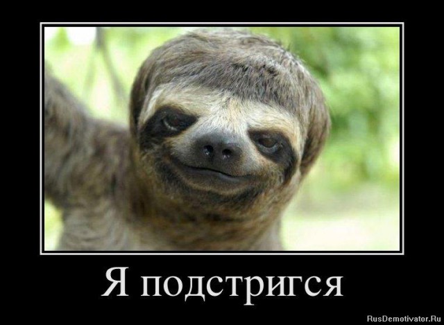 Стрижка челки пошла не по плану