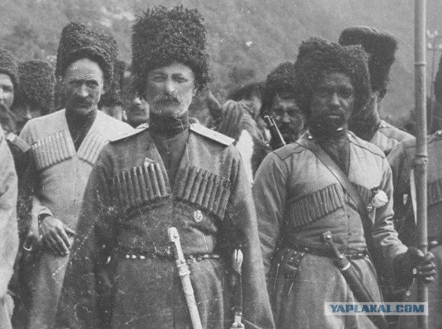 Белые негры или Чёрные поляки? Вот в чём вопрос...