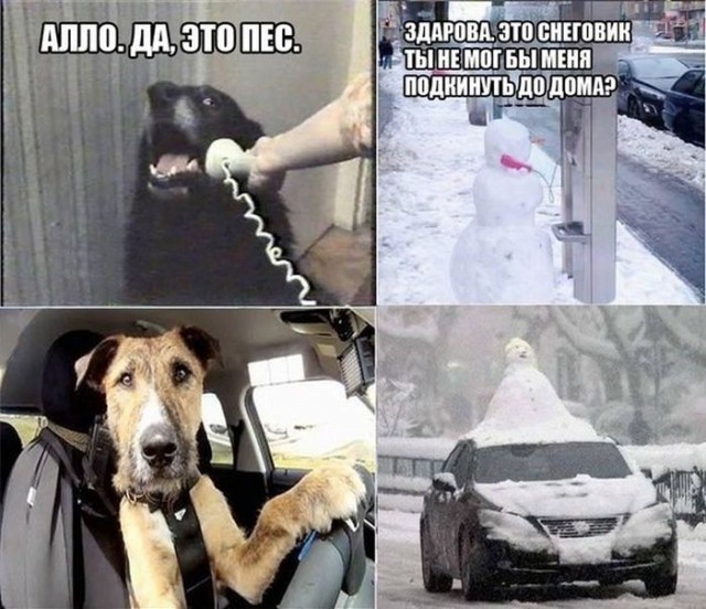 Тятя! Тятя! Наши сети принесли неадекват!