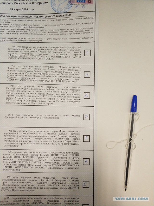 Подборка странных и забавных фото и скринов с избирательных участков 2018