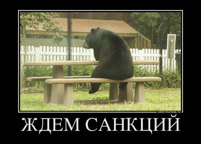 СтопХамСПб - Не езда 14