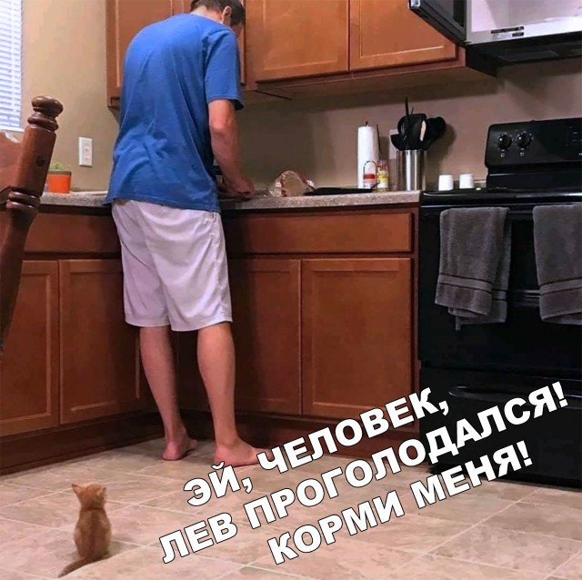Немного милоты