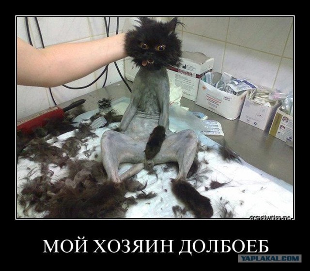 Задолбали!