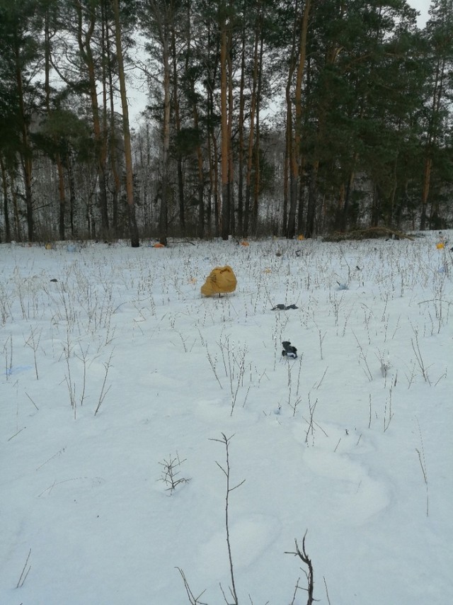 В городе Елец обнаружили вскрытые посылки, которые направлялись в Краснодарский край