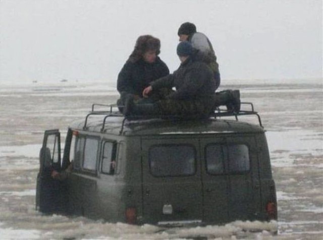 И всё-таки она наша. Лента картинок