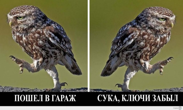 Мужа больше интересует гараж, чем я