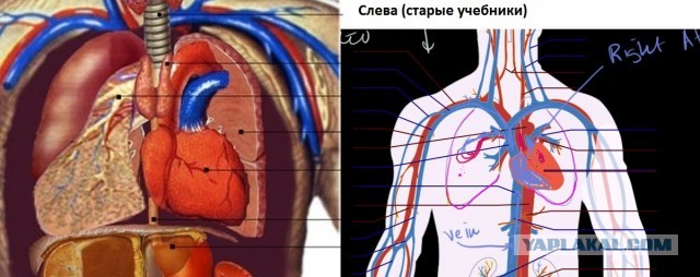 Эффект Манделы - ЯПлакалъ