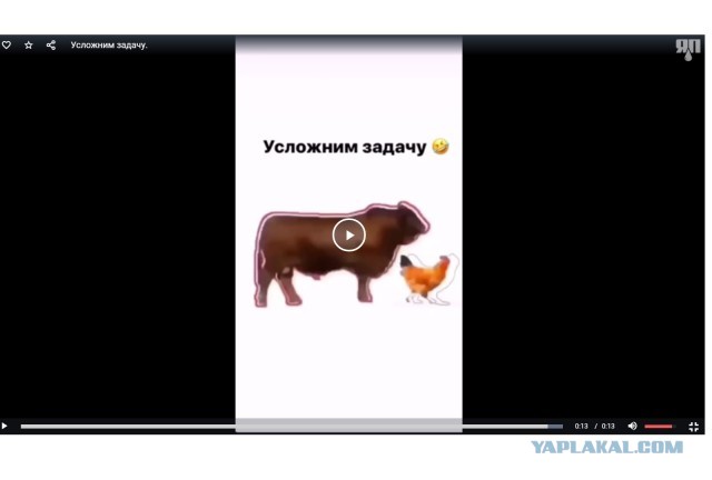 Усложним задачу по ловле курицы