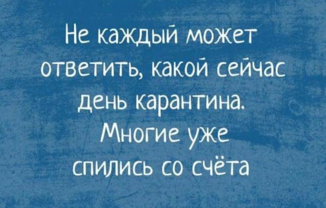 Чуток картинок 11.04.20