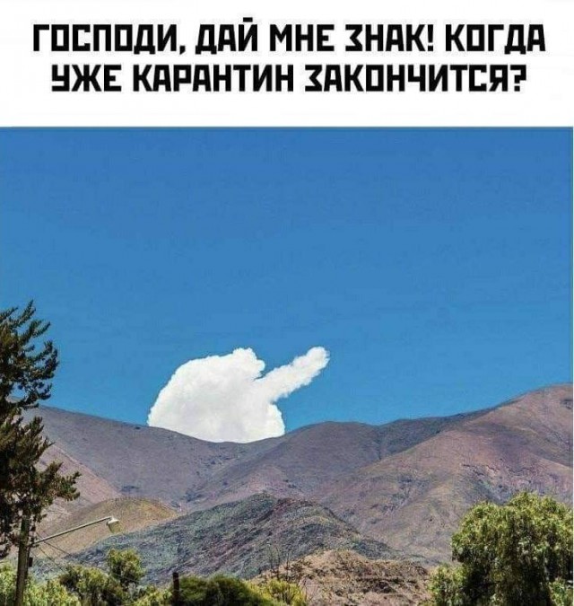 В Подмосковье введут "масочный режим"