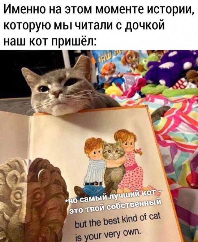 Немного картинок для настроения 01.06.20