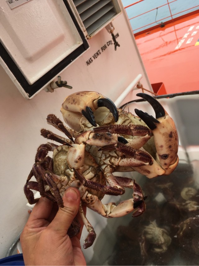 Морская Рыбалка и не только
