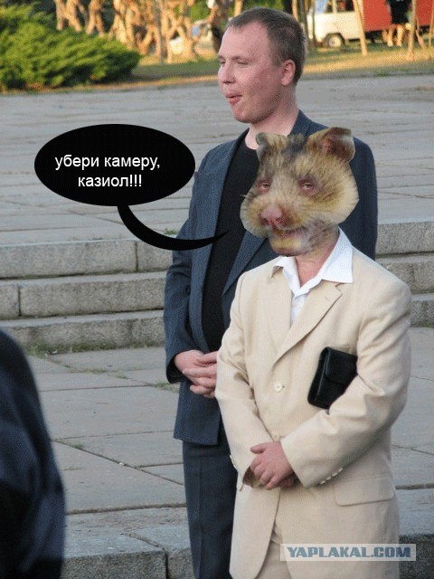 Сдаюсь!
