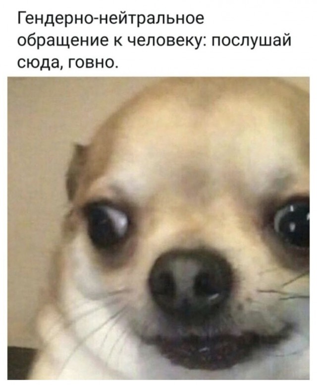 Юмор в картинках 11.11.2020 (2)